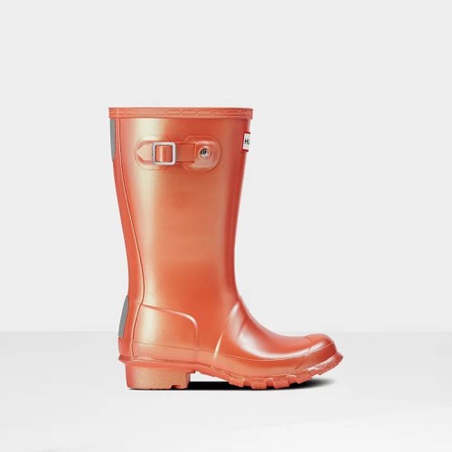 Hunter Original Nebula Wellies (P647N) Ireland